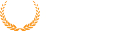 Dissertation Writing Service